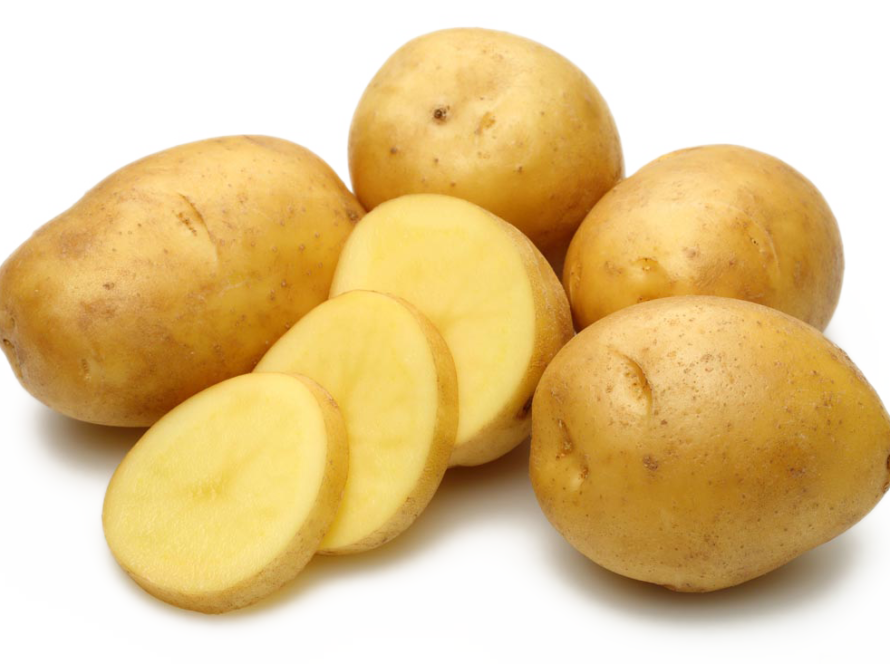 brambory agrico bohemia